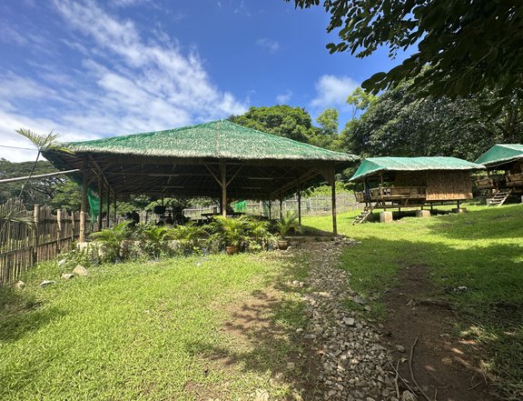 687sqm Residential Farm Lot for Sale in Prenza Lian, Batangas