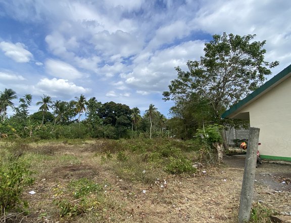 150 sqm Residential Lot For Sale By Owner in Samal Davao del Norte