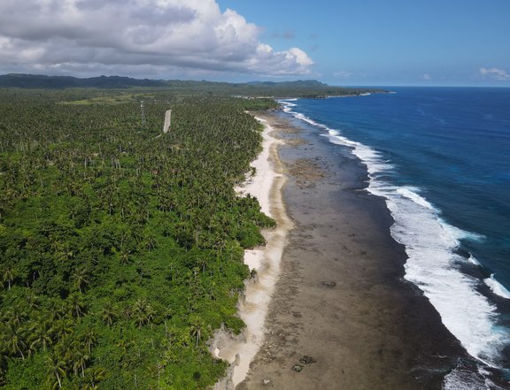 10 HA WhiteSand, BeachFront Overlooking Property For Sale in Siargao