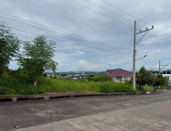 Royale Cebu Estates Adjacent Lots 313-439sqm Consolacion