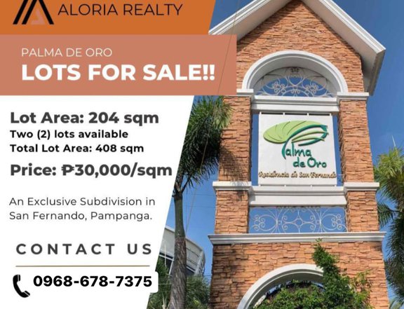 Lots for Sale in Palma De Oro Subdivision, San Fernando Pampanga