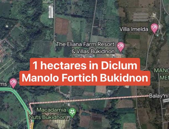 1 hectare Farm Lot For Sale in Diclum, Manolo Fortich Bukidnon