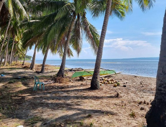 Beachline Property for Private Resort Vacation House in Davao Oriental