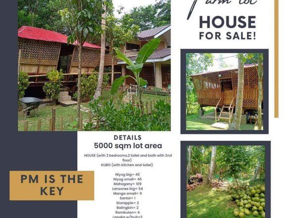Affordable Farm House & Lot 5,000 sqm Agri Farm For Sale in Laguna