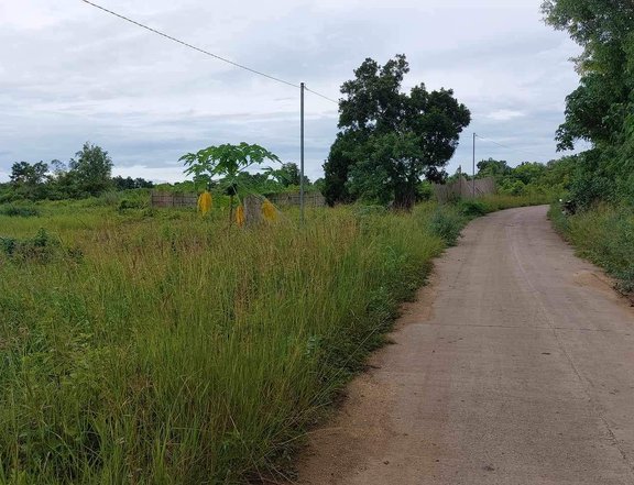 Lot for Sale Ideal for Residential Backpackers or Apartment