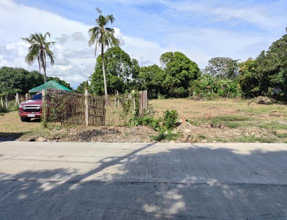 125 sqm Residential Lot For Sale in San Juan Batangas