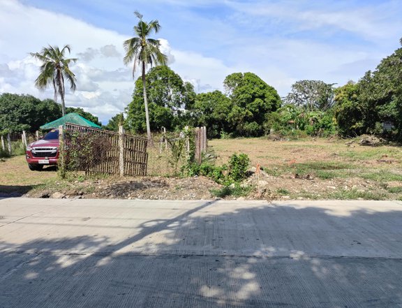 125 sqm Residential Farm For Sale in San Juan Batangas