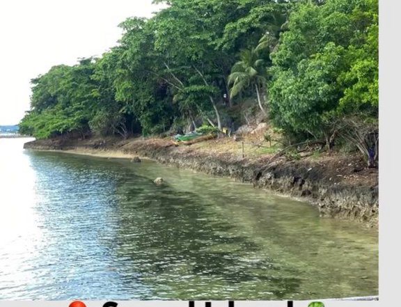 2.46 hectares Beach Property For Sale in Samal Davao del Norte