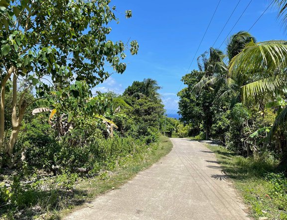 500sqm Residential Lot For Sale in Loon, Bohol