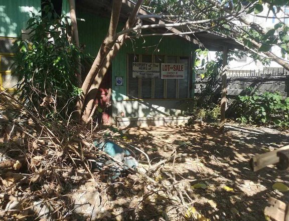 712 sqm Residential Lot For Sale By Owner in Alaminos Pangasinan