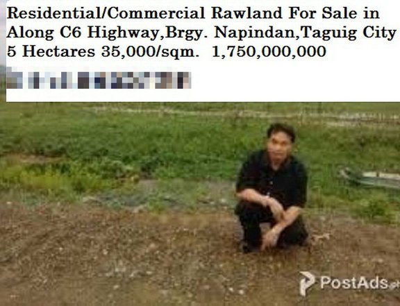 I'm Selling Residential/Commercial Rawland 5 Hectares 1.75Billion in Along C6,Napindan,Taguig City