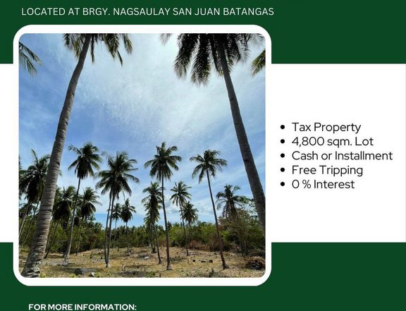 4,800 sqm Residential Farm For Sale in San Juan Batangas