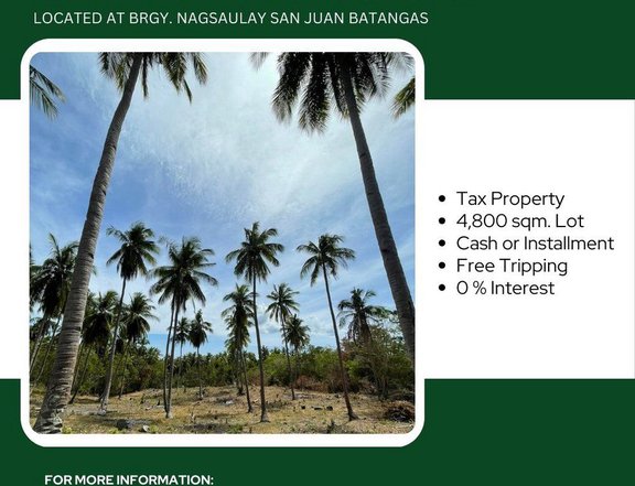 4,800 sqm Residential Lot For Sale in San Juan Batangas