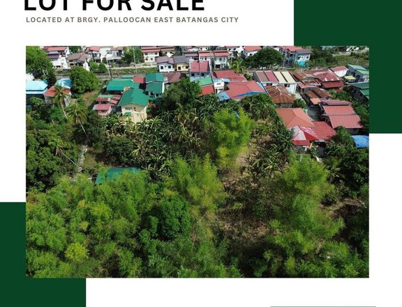 2,000 sqm Residential Farm For Sale in Batangas City Batangas