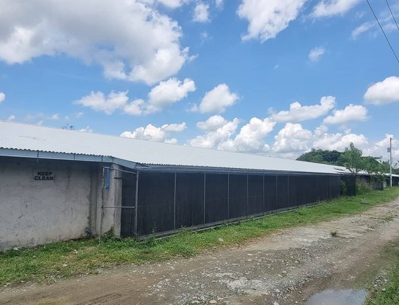 2.9 hectares CCS POULTRY Farm For Sale in Malasiqui Pangasinan