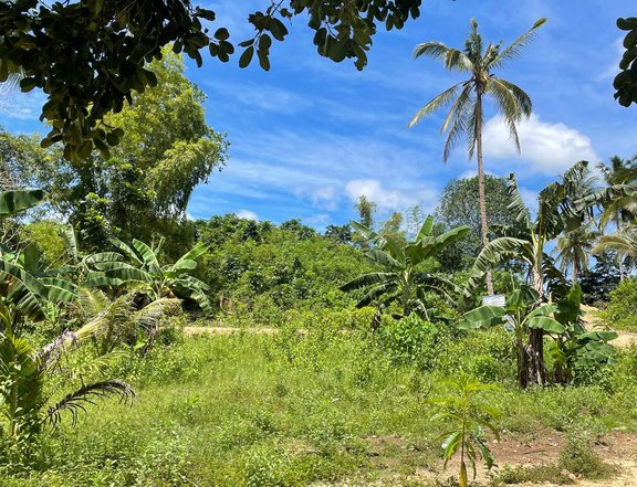 Residential Lot FOR SALE in Guimaras.