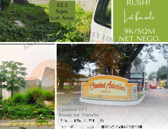 62.5 sqm Residential Lot For Sale in Trece Martires Cavite