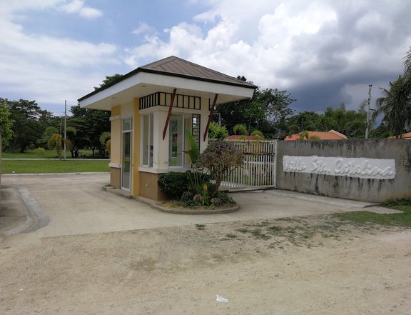 157 sqm Residential Lot For Sale in Carcar Cebu
