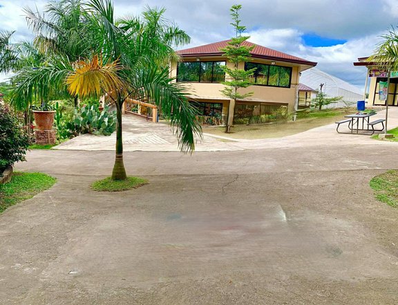56,923 SQM Fruit Bearing Farm for Sale in Angat, Bulacan
