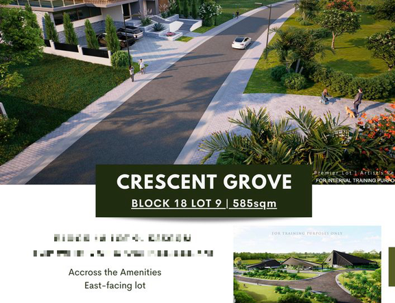 Premium Lot for Sale in Crescent Grove Vermosa | 585 sqm Near Clubhouse