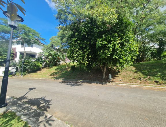 356 sqm Lot For Sale in Ayala Westgrove Heights Silang Cavite