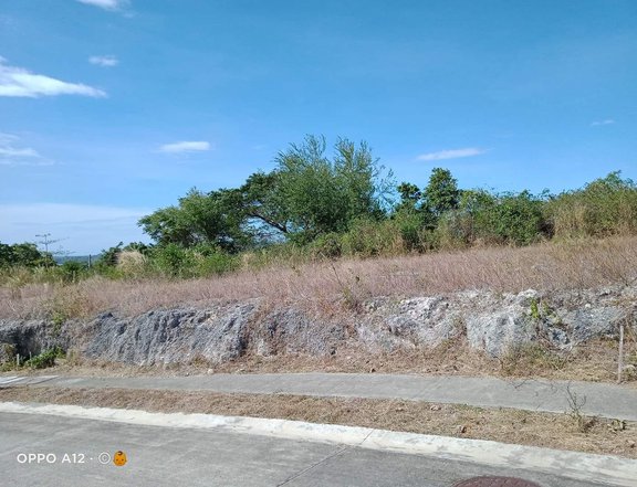 Prime 488 sqm Beach Lot For Sale in Playa Calatagan Village Calatagan batangas