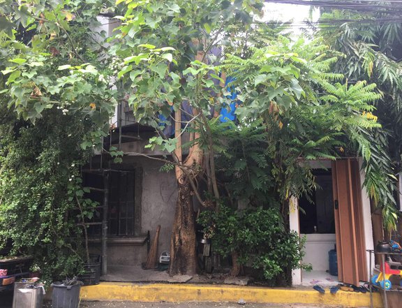 219 sqm Residential Lot  for sale in Taguig