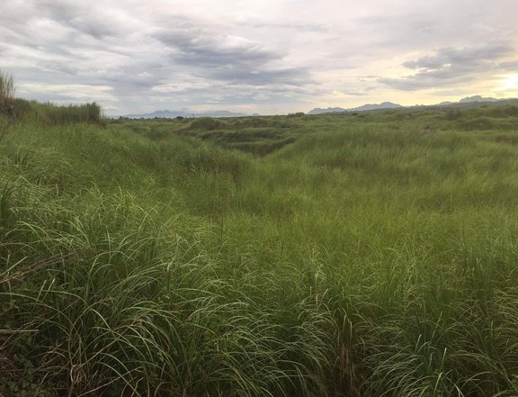 RAWLAND IN PAMPANGA BESIDE ALVIERA AYALA INDUSTRIAL ZONE