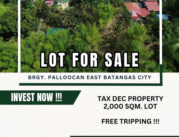 2000 sqm Residential Farm For Sale in Batangas City Batangas