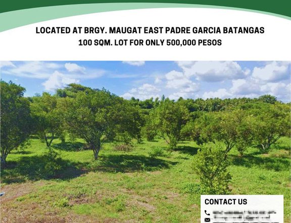 LOT FOR SALE: 100 Sqm Residential Farm For Sale in Maugat East Padre Garcia Batangas