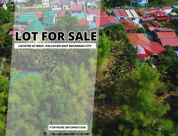 2,000 sqm Residential Farm For Sale in Batangas City Batangas