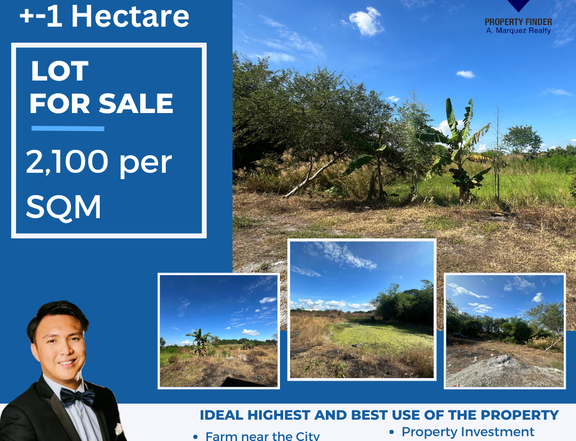 1.08 hectares Agricultural Farm For Sale in San Fernando Pampanga