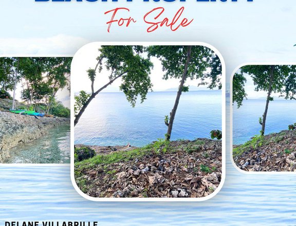 2 hectares Beach Property For Sale in Samal Davao del Norte