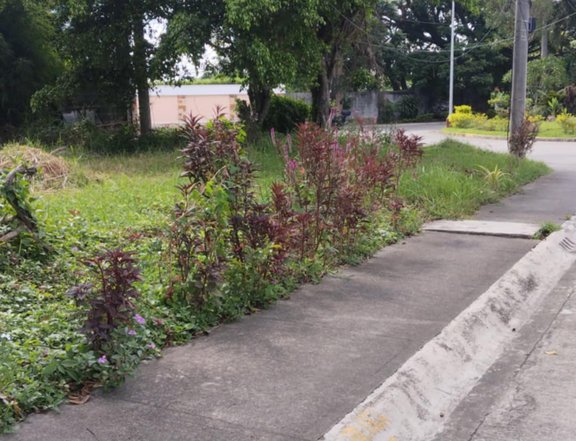 280 sqm Residential Corner Lot for Sale in Maravilla Subd. Gen. Trias Cavite