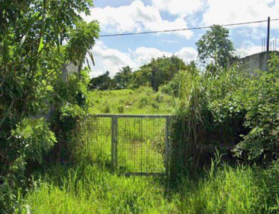 FARM LOT CLEAN TITLE ALONG KAYKWIT RD (PROV'L. RD) INDANG