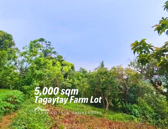 FARM LOT for Sale Alfonso Cavite Tagaytay Road 5,000 sqm