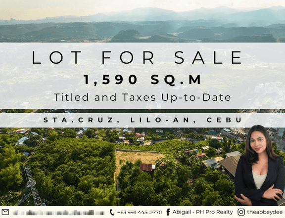 Overlooking 1,590 Sq.m. Lot for sale with Amazing View Lilo-an, Cebu