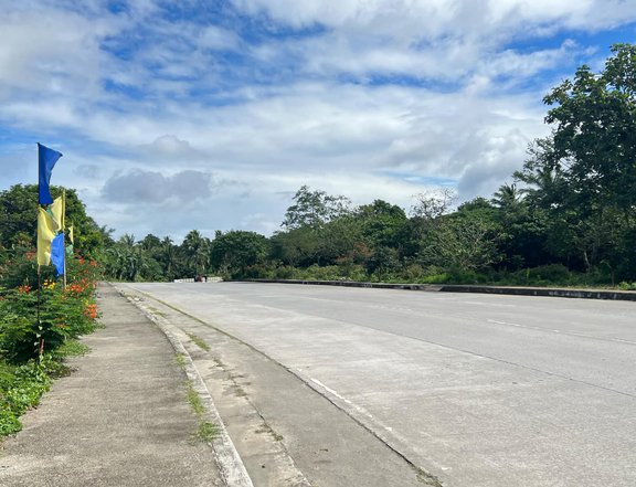 200sqm Along East West Road lot for sale near Tagaytay