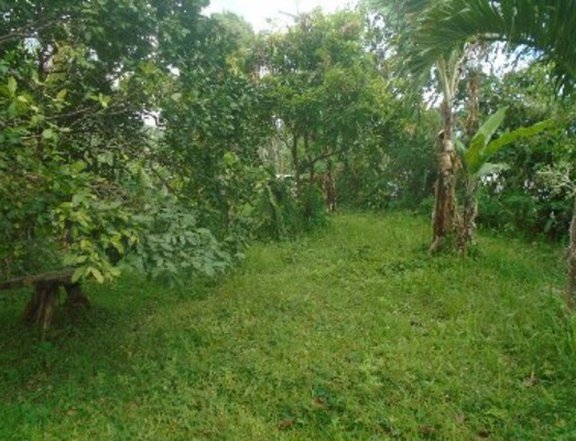Foreclosed 1.98 hectares Residential Lot For Sale in San Pablo Laguna