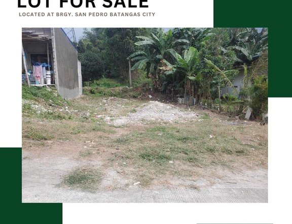 200 sqm Residential Farm For Sale in Batangas City Batangas