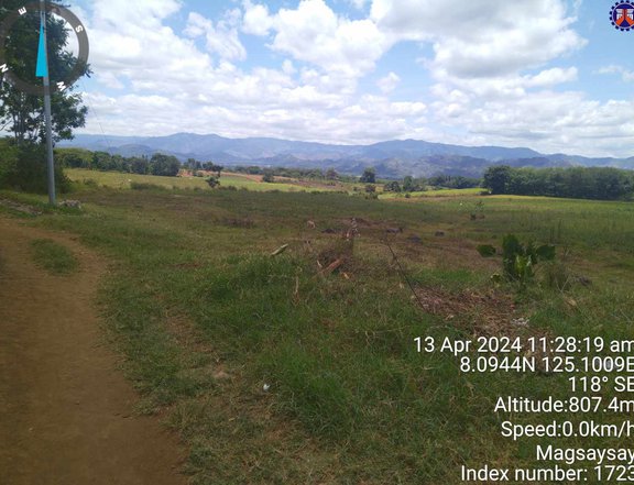 3.78 hectares Agricultural Farm For Sale in Malaybalay Bukidnon