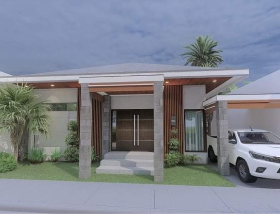 FOR SALE ! Bungalow House and Lot  at Bacolor near SM Telebastagan
