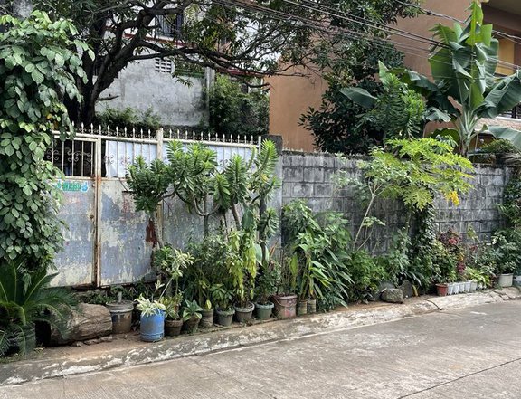 150 SQM Lot for Sale in Camarin, Caloocan City