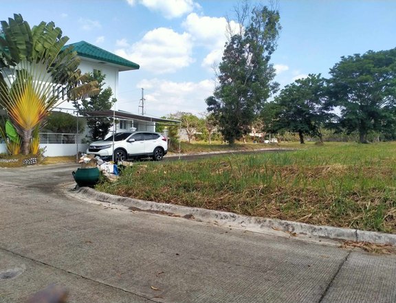348 sqm Residential Lot For Sale in Metro Gate Estate Silang Cavite