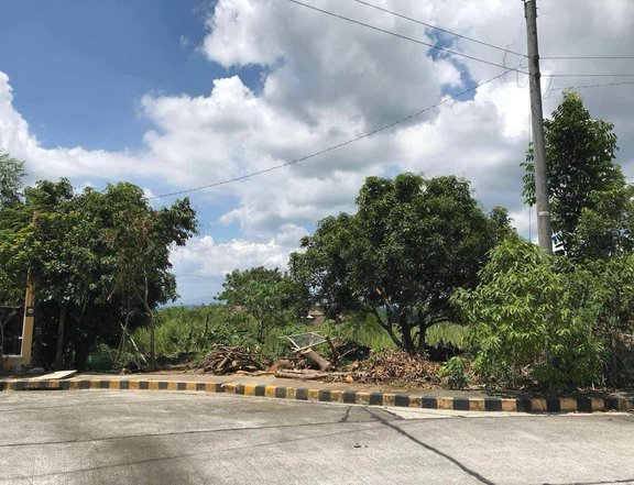 318 sqm Residential Lot For Sale in Splendido Tagaytay