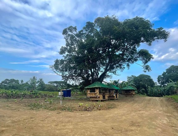 1000sqm Resi-Farm for Sale in Indang Cavite