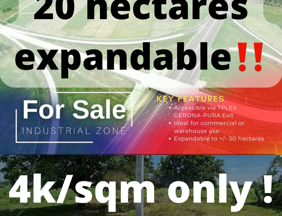 200000 sqm Agro-Industrial Farm For Sale in Pura Tarlac