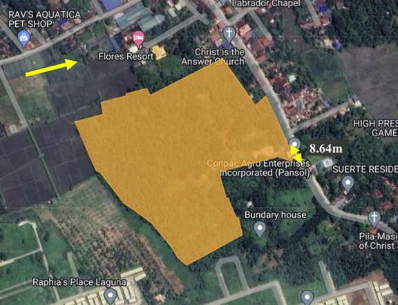 7.01 hectares Commercial Lot For Sale by Ayala Land besides Bellavita Brgy. Pansol Pila Laguna