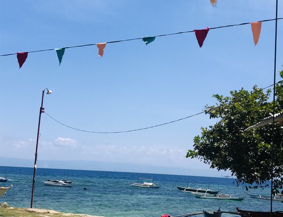 Lot for Sale in Panglao Island Walking Distance to Seashore