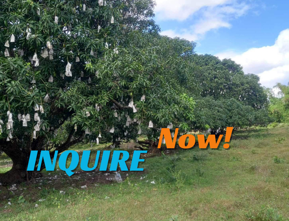 300 sqm Residential Farm For Sale in Indang Cavite
